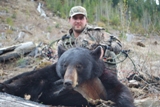 black bear