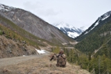 glassing for black bears